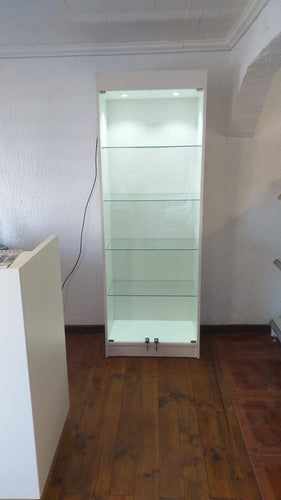 Vitrina Mural Melaminica Para Exhibición  60x33x180cm