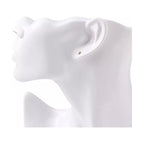 Exhibidor Rostro Solido 20x28cm